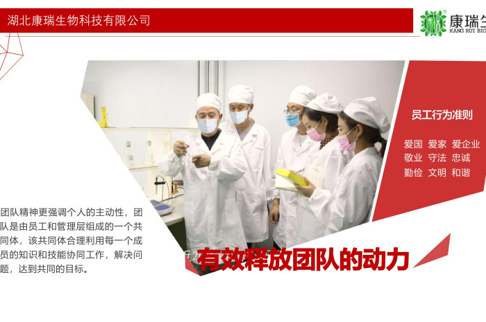 小批量功能食品代工，就選湖北康瑞生物！支持專業(yè)打樣與靈活定制